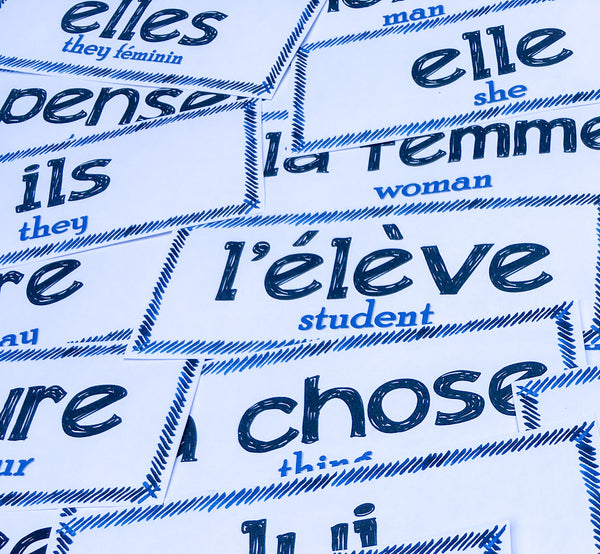 Word Wall Set for French Class - PRINT